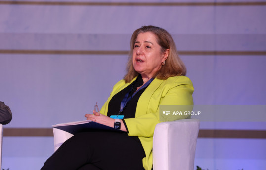 Hande Harmancı, World Health Organization (WHO) Representative and Head of Country Office in Azerbaijan