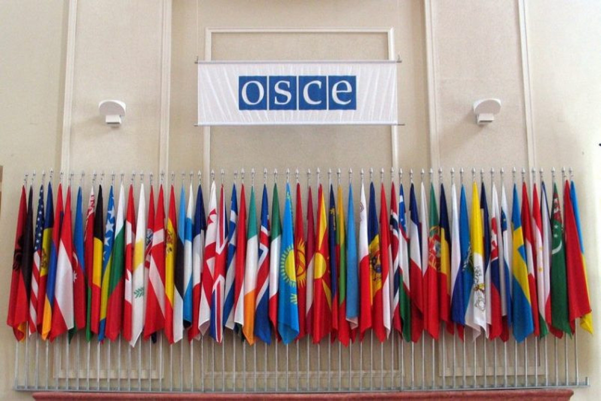 Russia to suspend participation in OSCE Parliamentary Assembly, freeze its contributions - Federation Council speaker