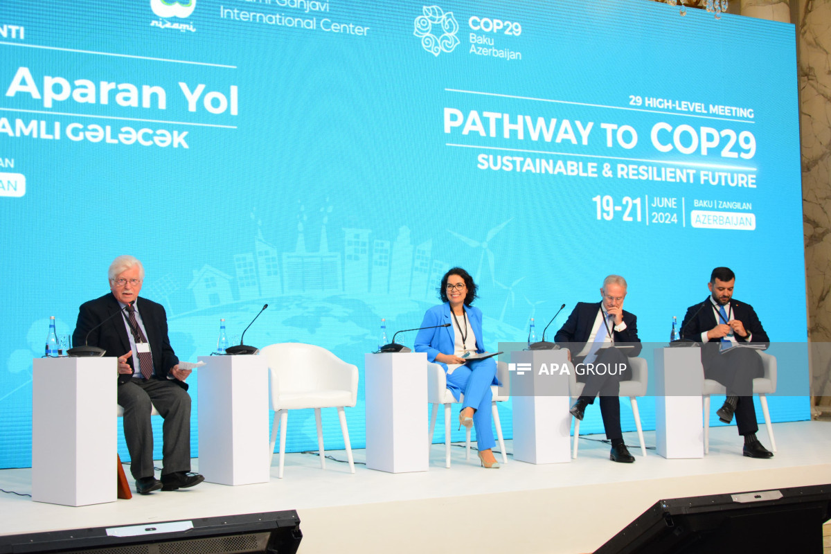Panel discussion on climate change held in Baku within COP29 meeting