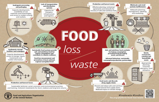World Food Forum calls for less food waste, support for young chefs