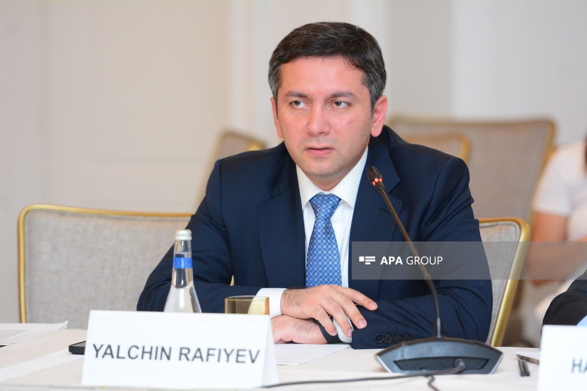 Lead Negotiator of COP29, Deputy Minister of Foreign Affairs of Azerbaijan Yalchin Rafiyev