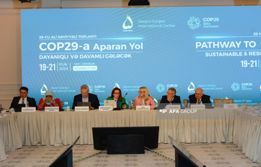Pace of climate negotiations is slower than pace of climate change process, says Former Ecuadorian FM