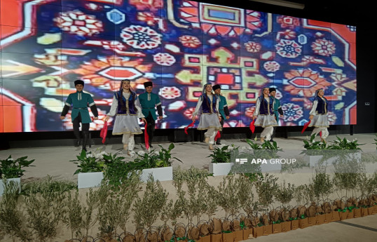 Cooperation Forum of Azerbaijani NGOs wraps up in Zangilan -PHOTO 