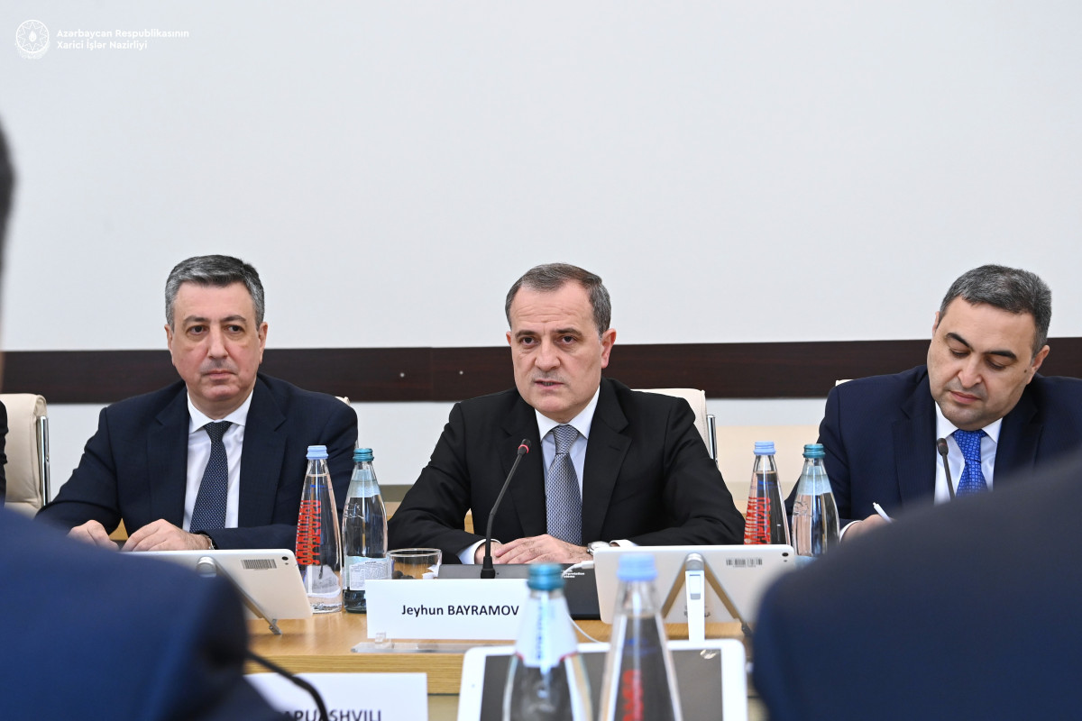 Azerbaijani FM discussed situation in the region with the Speaker of Georgian Parliament