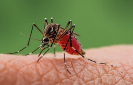 Israel reports 4th fatality of West Nile fever