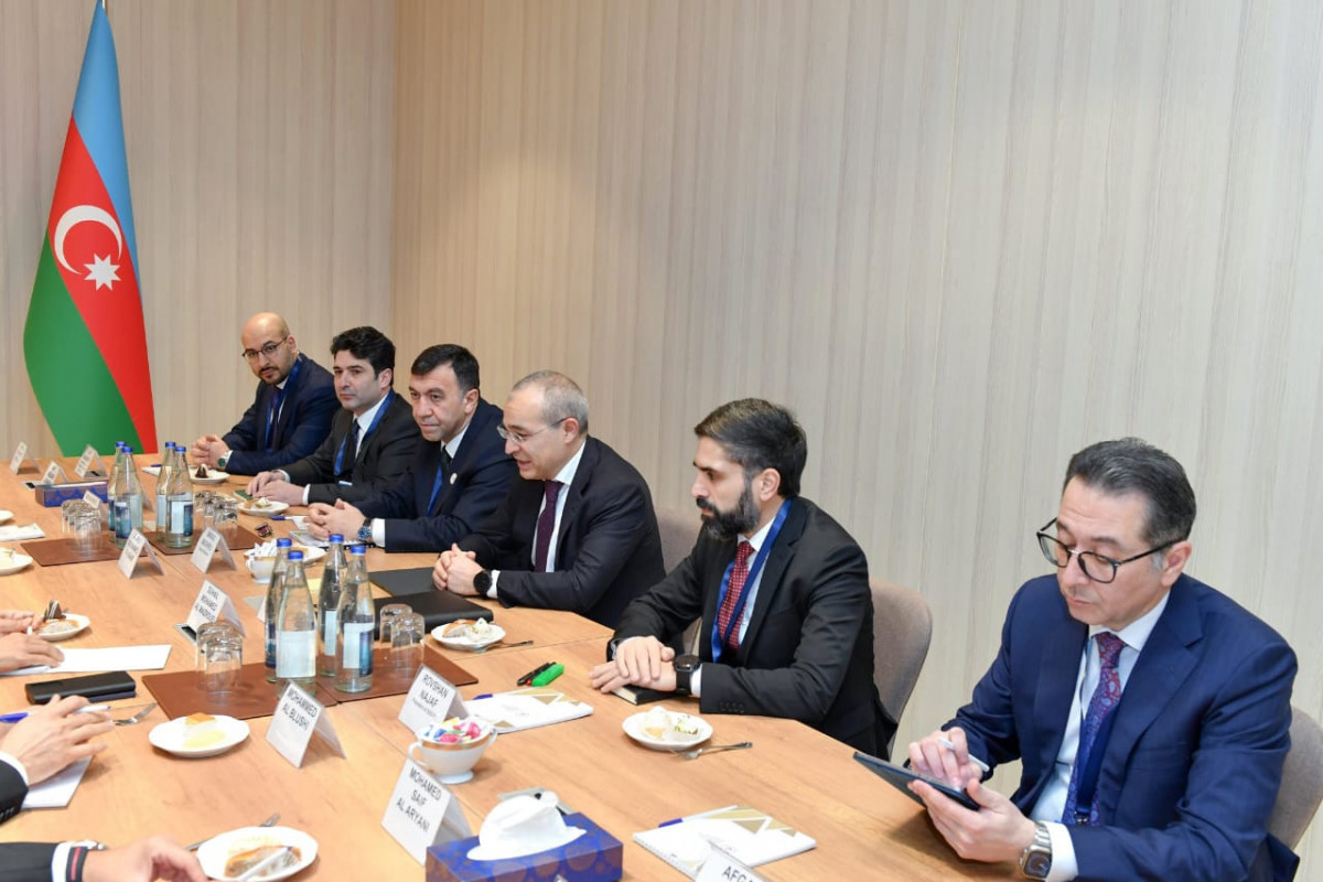 Azerbaijan, UAE discuss areas of collaboration within COP29