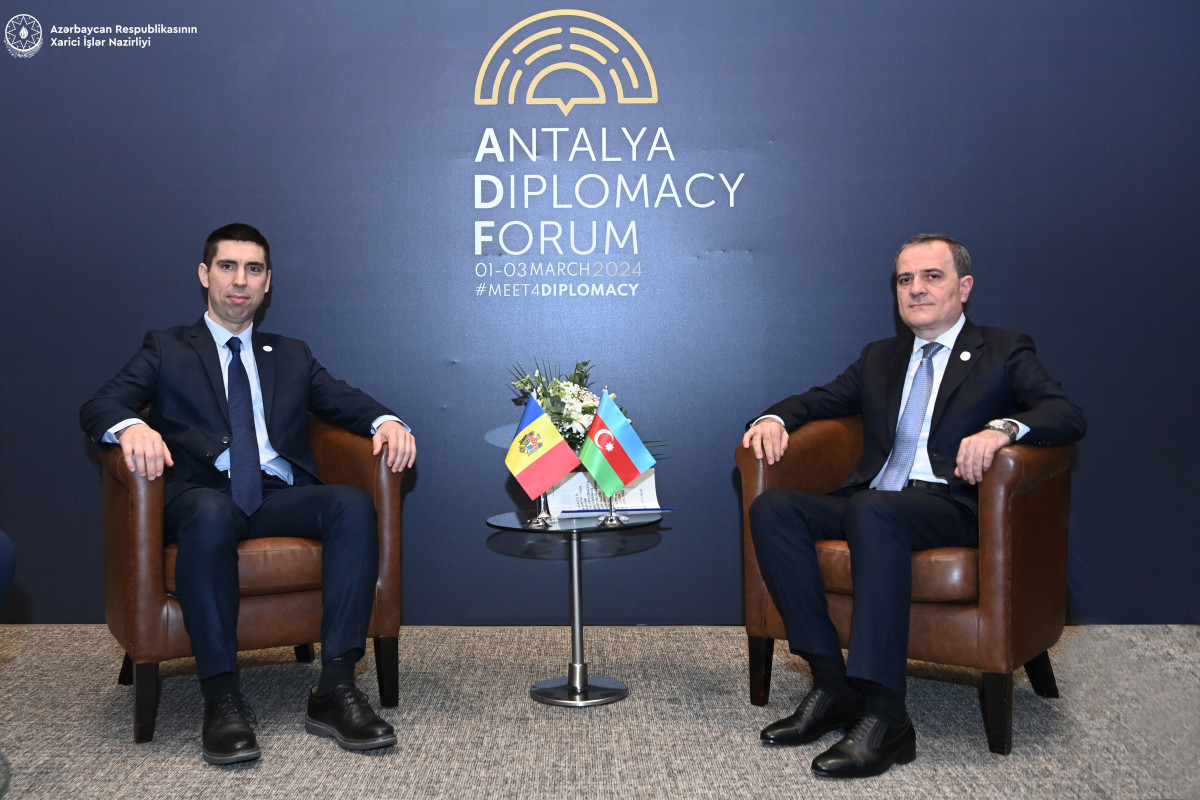 Azerbaijani, Moldovan FMs discussed regional issues