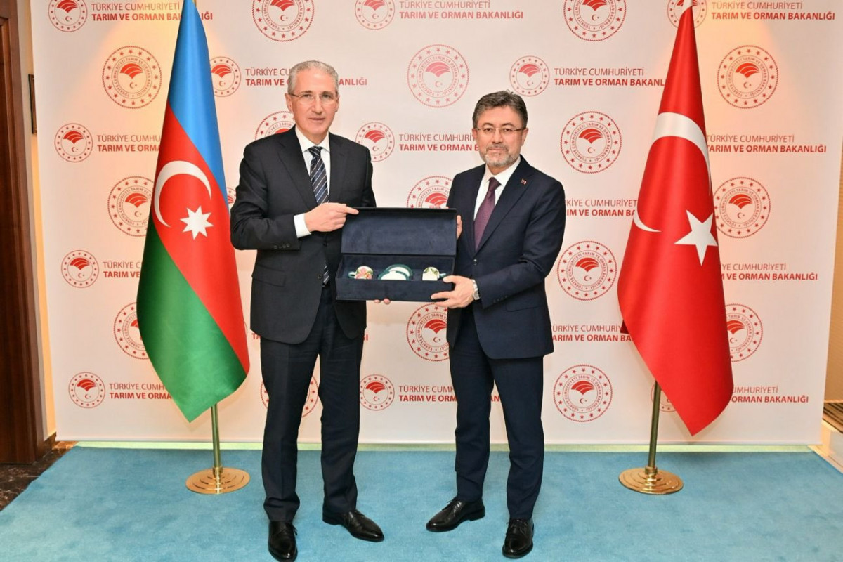 Azerbaijan, Türkiye explore cooperation in ecological field