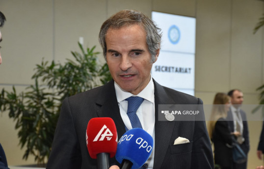 Rafael Mariano Grossi, IAEA Director General