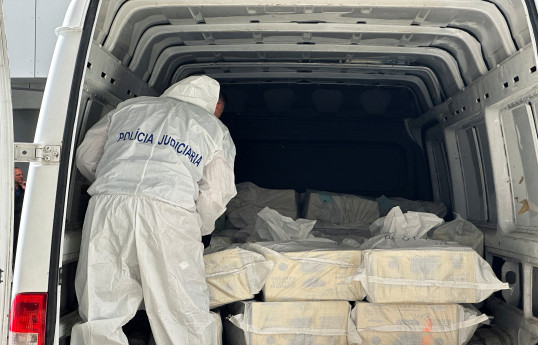 Portuguese police seize 1.3 tons of cocaine hidden in frozen fish