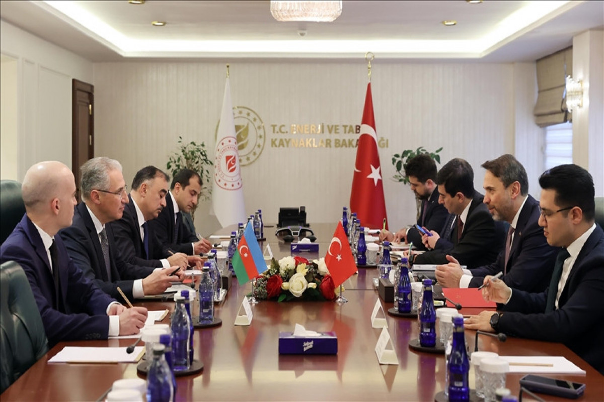 Turkish, Azerbaijani energy ministers discuss green transition, climate change