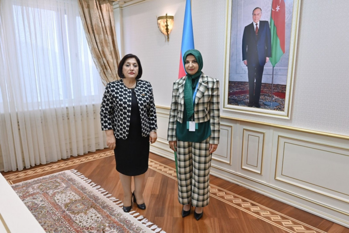 Milli Majlis' Speaker Gafarova meets with UNICEF Representative in Azerbaijan to discuss child rights