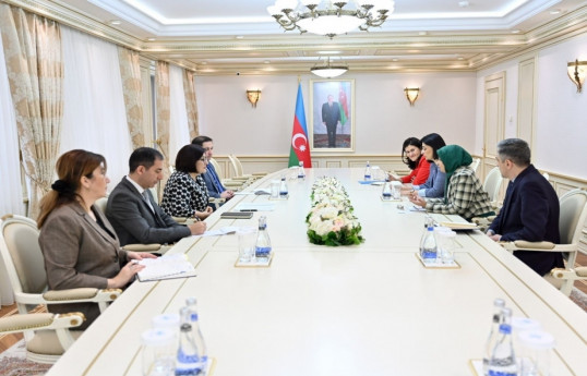 Milli Majlis' Speaker Gafarova meets with UNICEF Representative in Azerbaijan to discuss child rights