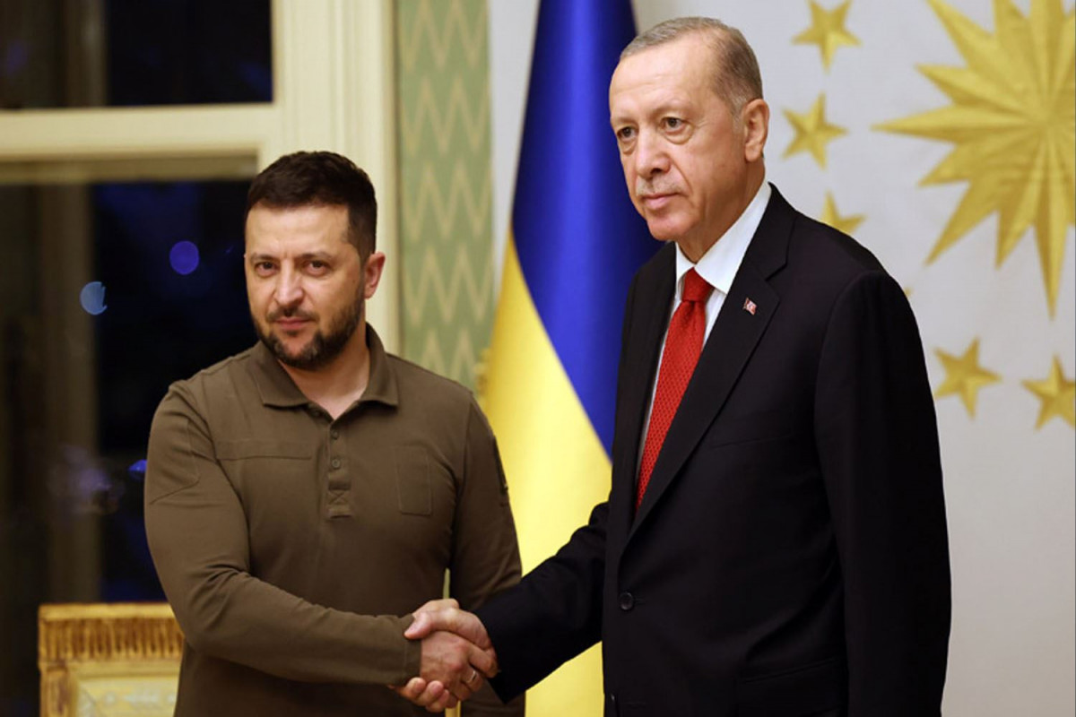 Turkish President to meet Zelensky in Istanbul on Russia-Ukraine crisis