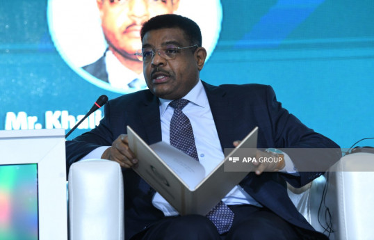 Ambassador Khaled Fathalrahman, Director of the Center for Civilizational Dialogue of the Islamic World Educational, Scientific and Cultural Organization (ICESCO)