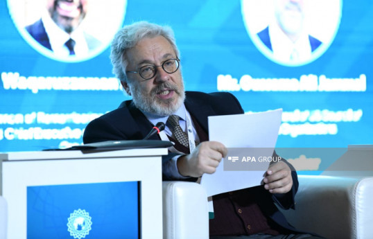Professor Mahmud Erol Kılıç, director general of Research Centre for Islamic History, Art and Culture