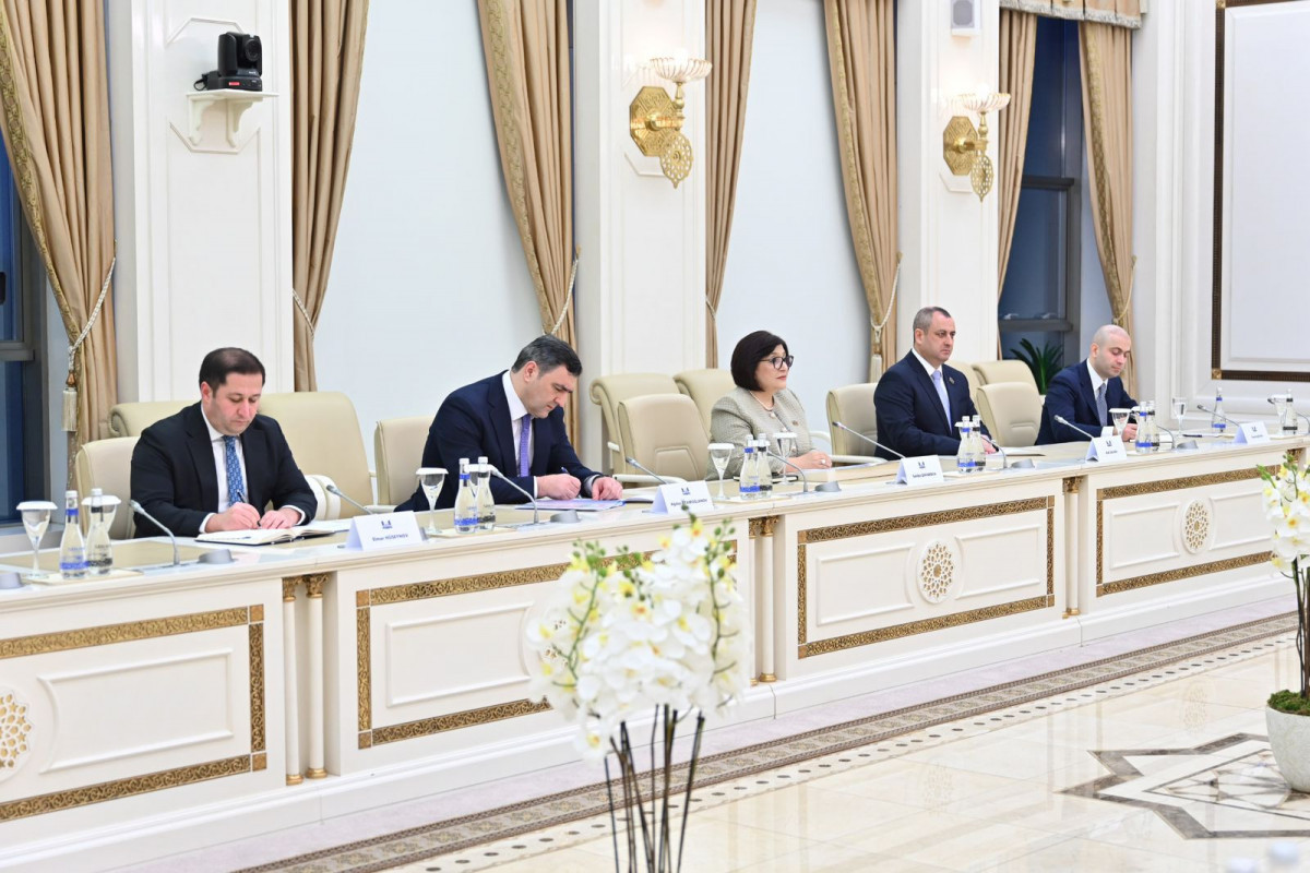Kazakhstan President meets with Speaker of Azerbaijani Parliament-UPDATED 