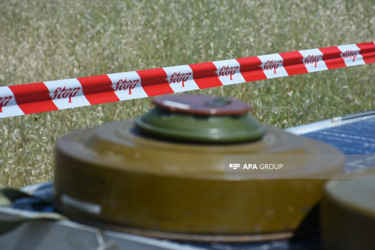 Azerbaijan's ANAMA finds 191 landmines in liberated territories - Vimarsana News