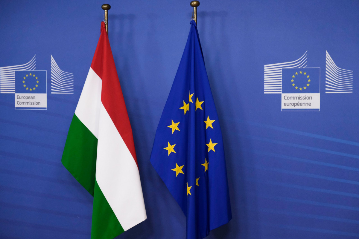 Parliament takes Commission to court over Orbán payoff - Vimarsana News