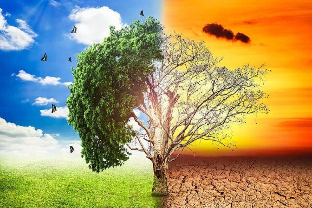 COP: US-led group of states puts responsibility regarding with climate change on others-ANALYTICS - Vimarsana News