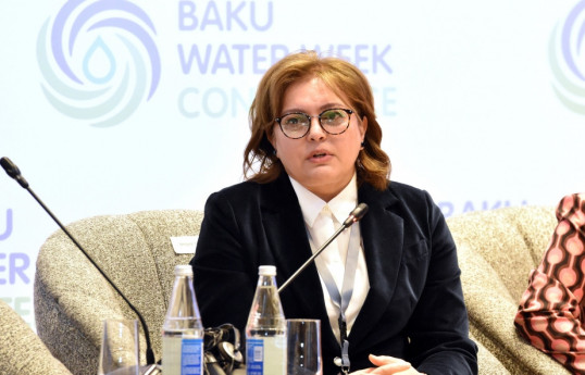 Umayra Taghiyeva, Azerbaijan’s Deputy Minister of Ecology and Natural Resources