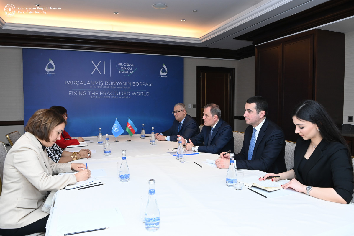 Azerbaijani FM met with UNHCR Assistant High Commissioner for Protection