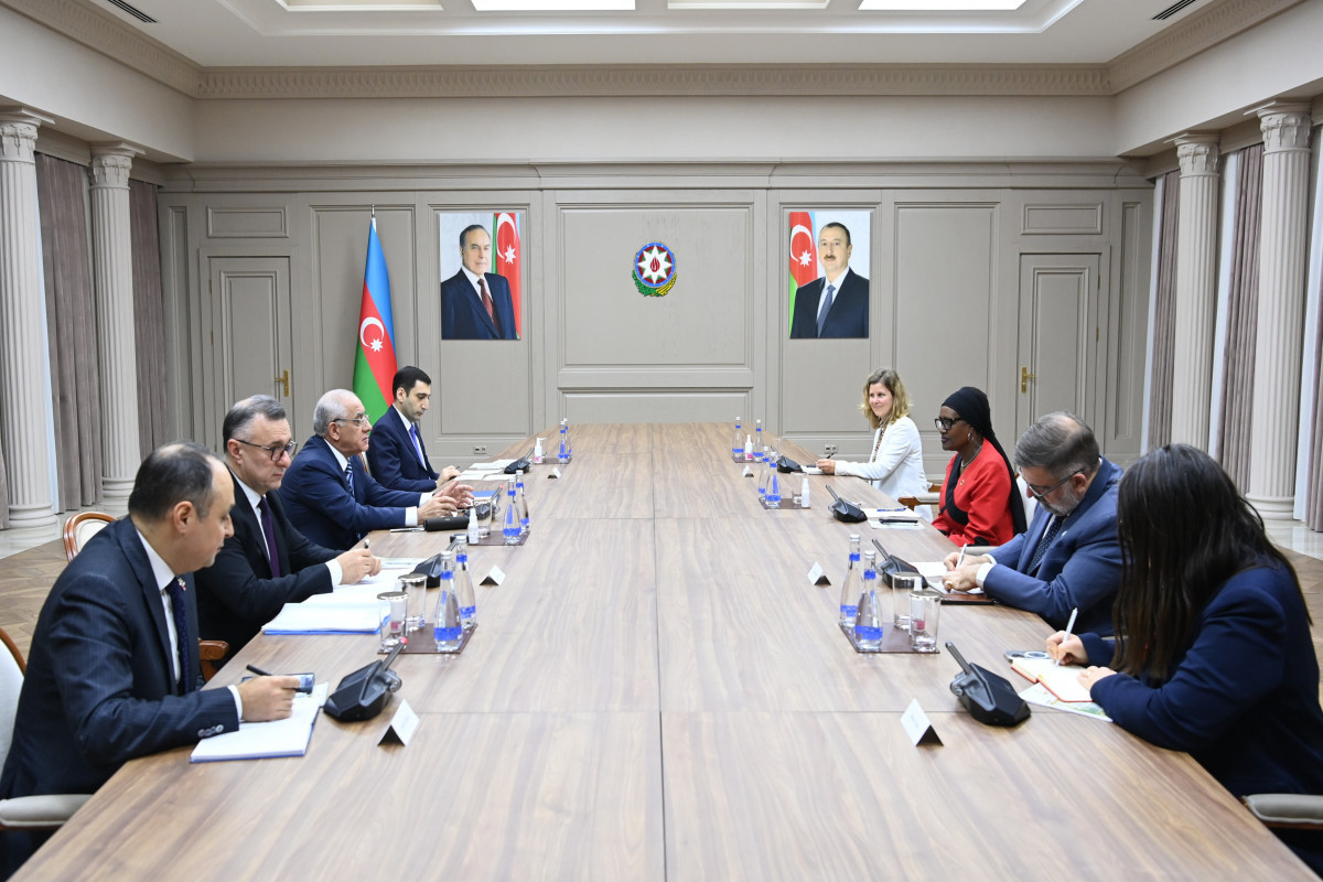 Azerbaijani PM meets with Executive Director of UNAIDS