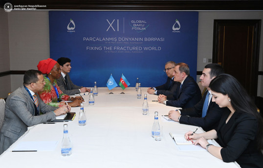 Azerbaijani FM meets with Deputy Director General of IOM