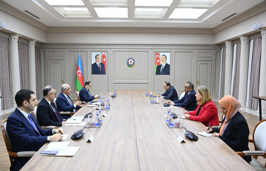 Azerbaijani Prime Minister met with WHO Director-General