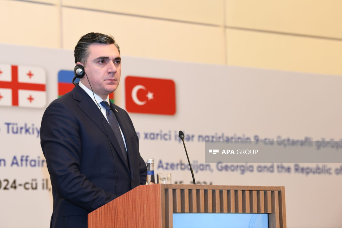 Georgian Foreign Minister Ilya Darchiashvili  speaks at a briefing on the results of the tripartite meeting of the foreign ministers of Azerbaijan, Georgia, and Türkiye held in Baku on March 15