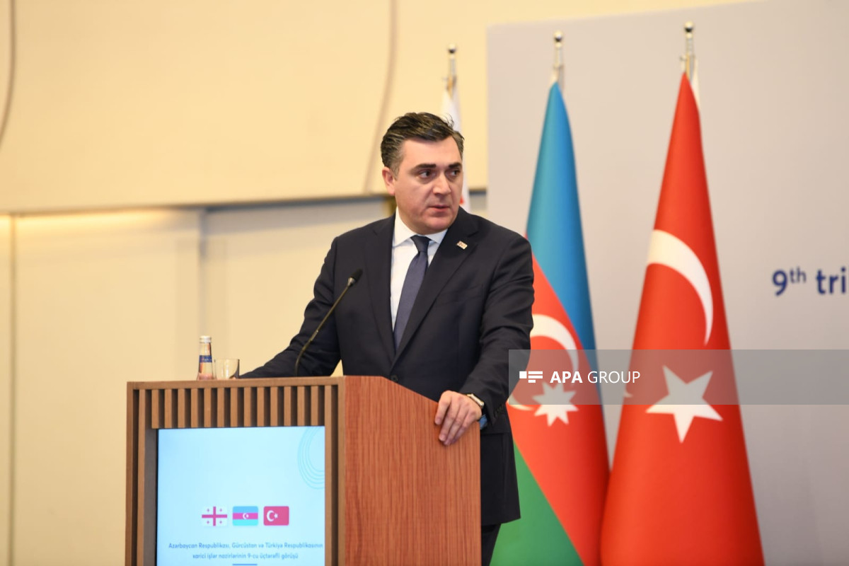 Georgian Foreign Minister Ilya Darchiashvili speaks at a briefing on the results of the tripartite meeting of the foreign ministers of Azerbaijan, Georgia, and Türkiye held in Baku on March 15