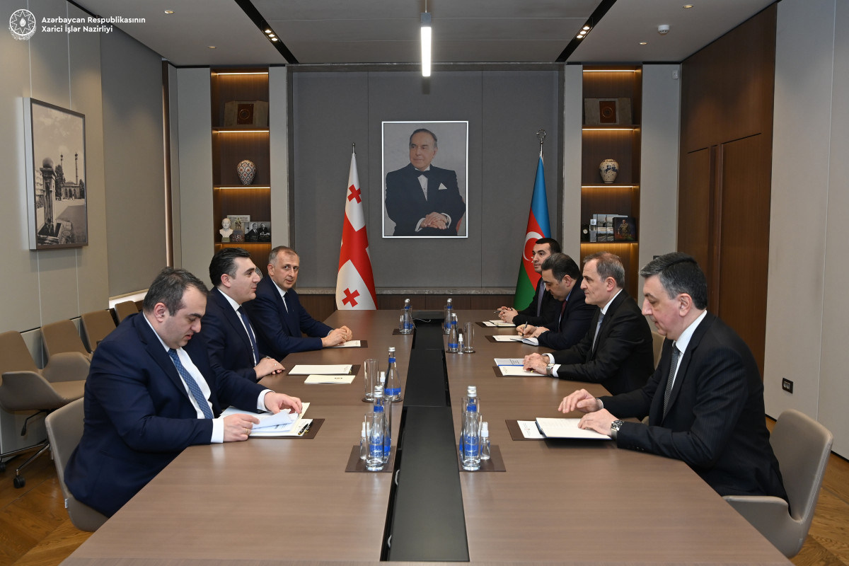 Azerbaijani, Georgian Top diplomats discussed the regional situation