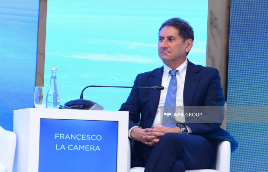 Francesco La Camera, the Director-General of the International Renewable Energy Agency (IRENA)