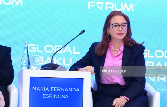 María Fernanda Espinosa, the ex-president of the United Nations General Assembly for the 73rd session, former Minister of Foreign Affairs of Ecuador