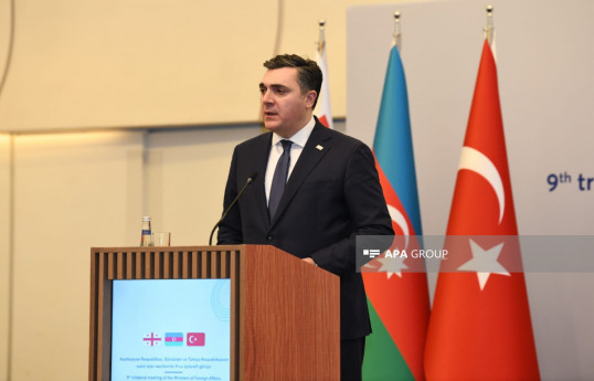  Georgian Foreign Minister Ilya Darchiashvili speaks at a briefing on the results of the tripartite meeting of the foreign ministers of Azerbaijan, Georgia, and Türkiye held in Baku on March 15