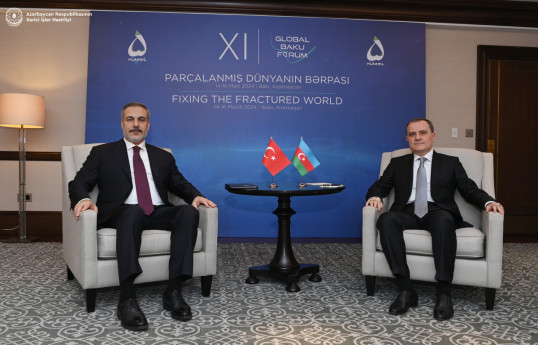 Türkiye will be pleased to cooperate with Azerbaijan within framework of COP29 - Foreign Minister