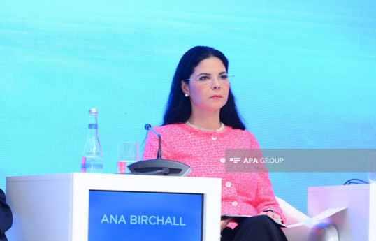 Former Prime Minister of Romania Ana Birchall