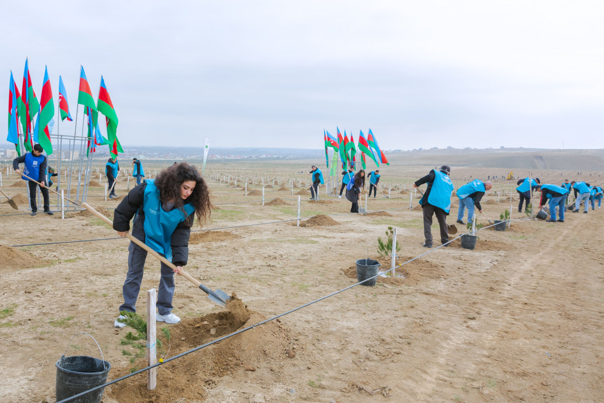 AZAL staff plants over 600 trees in support of the "Green World Solidarity Year"-PHOTO -VIDEO 