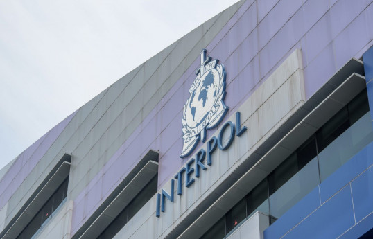 2 Interpol-wanted suspects detained in Istanbul