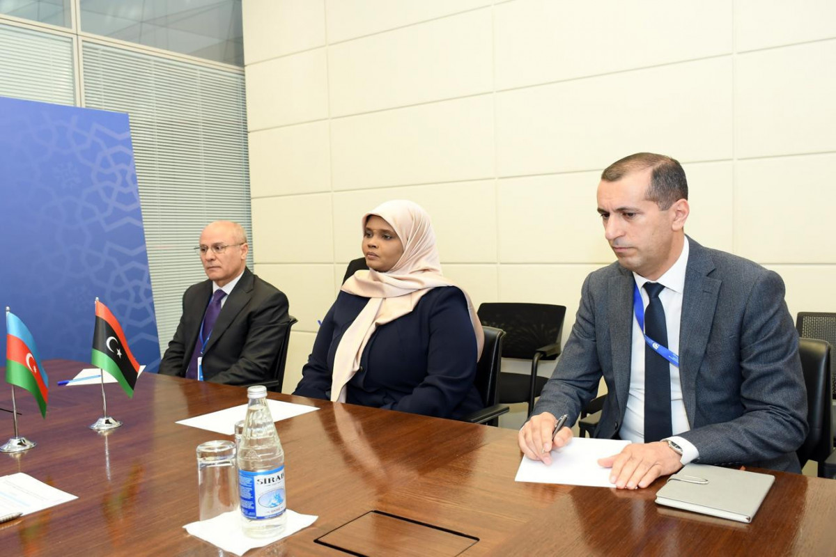 Azerbaijani Culture Minister meets with his Libyan counterpart