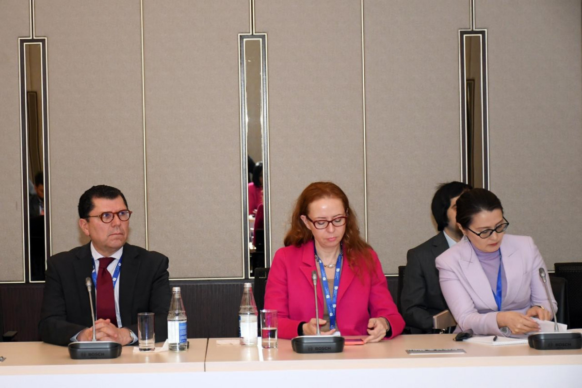 Azerbaijani Culture Minister meets with permanent representatives at UNESCO
