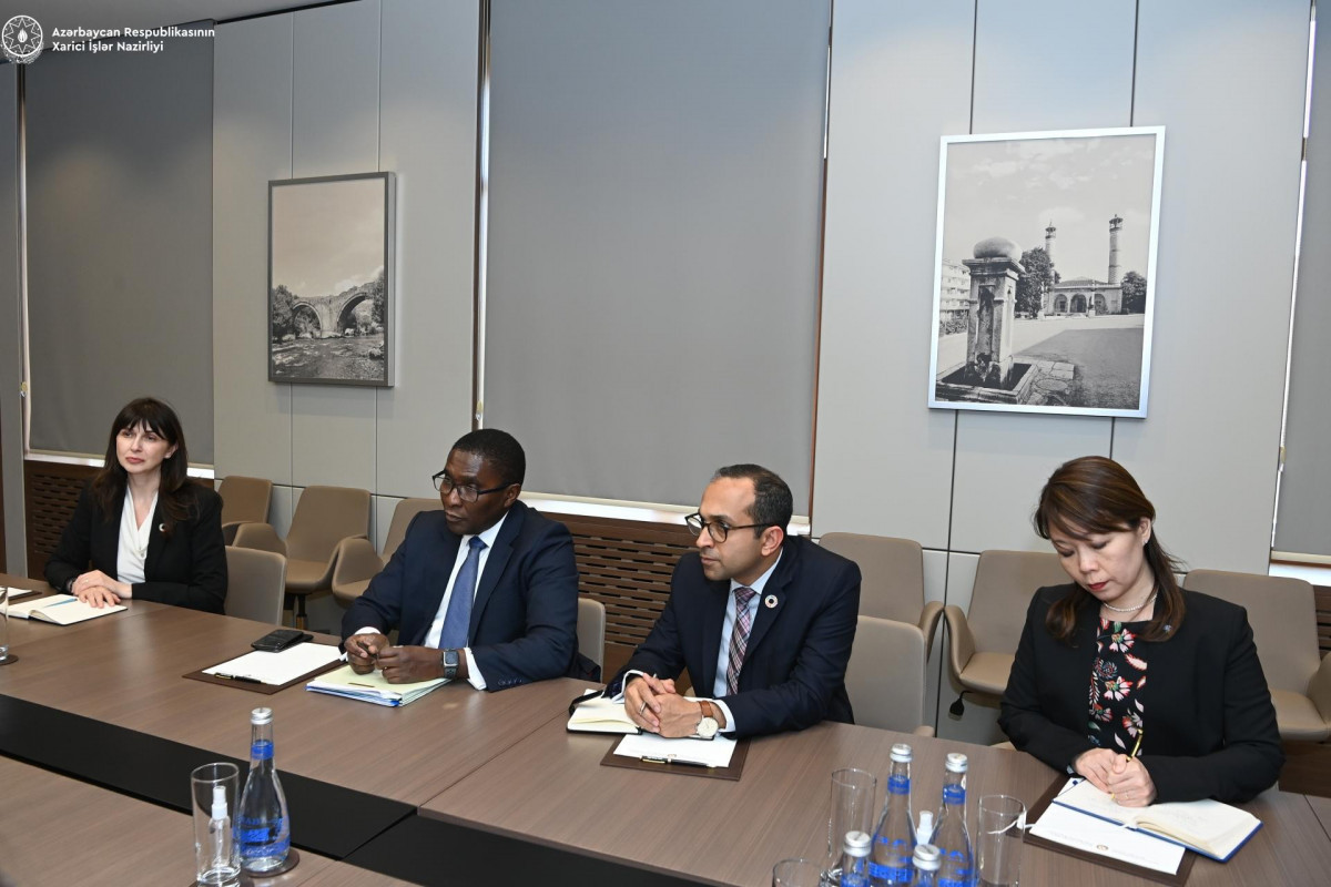 Azerbaijani FM discussed COP29 preparation with Advisor to UN Secretary-General