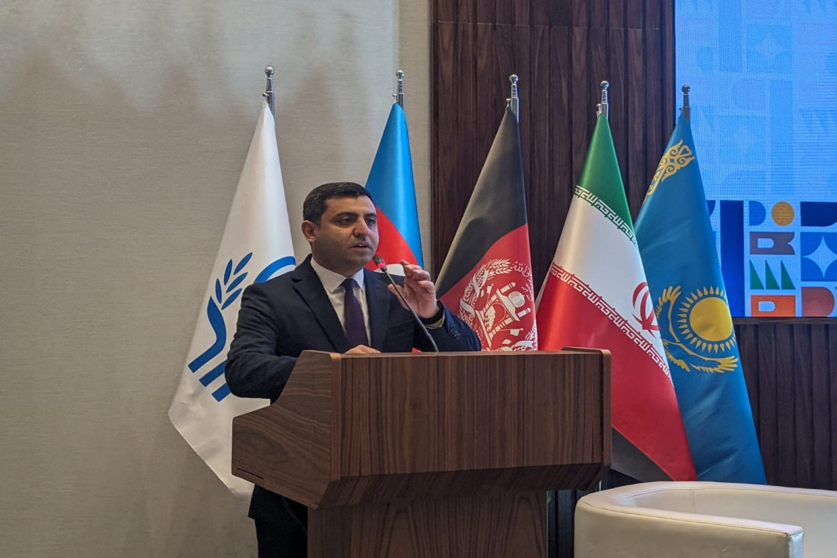ECO countries are our target tourism markets, Azerbaijani State Agency - Vimarsana News