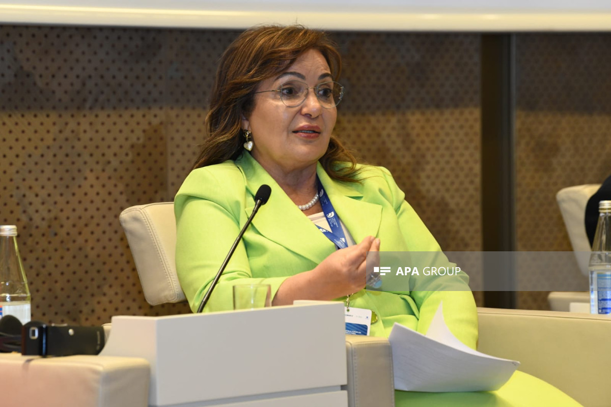Damage inflicted on Azerbaijan's ecology is a damage inflicted on the world - Chair of Türkiye-Azerbaijan Friendship Foundation - Vimarsana News