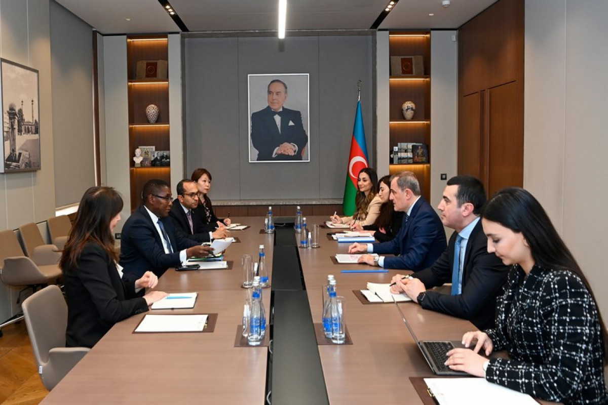 Azerbaijani FM discussed COP29 preparation with Advisor to UN Secretary-General - Vimarsana News