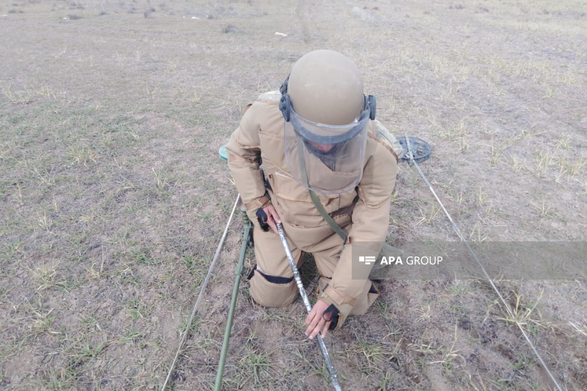 134,000 ha of Azerbaijan's liberated territories cleared of landmines and unexploded ordnance