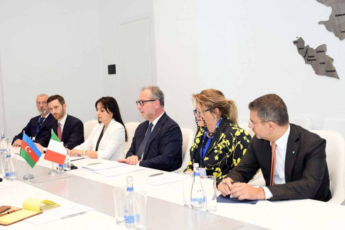 Azerbaijan's Culture Minister met with Italian delegation