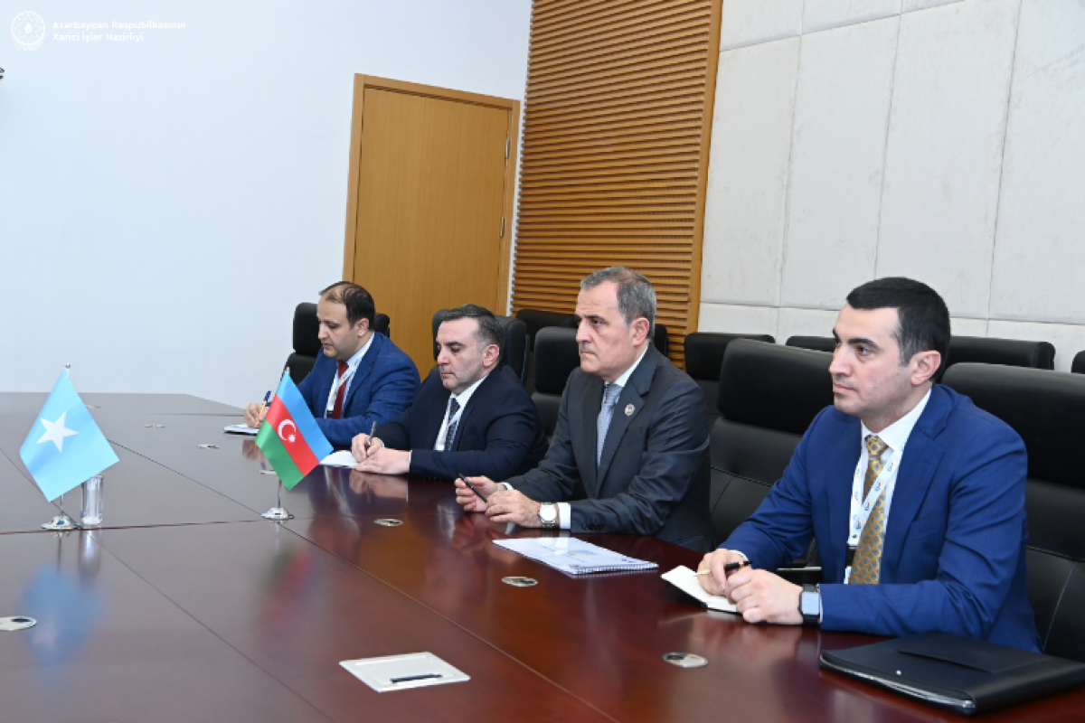 Azerbaijan, Somalia discuss mutual cooperation issues-PHOTO