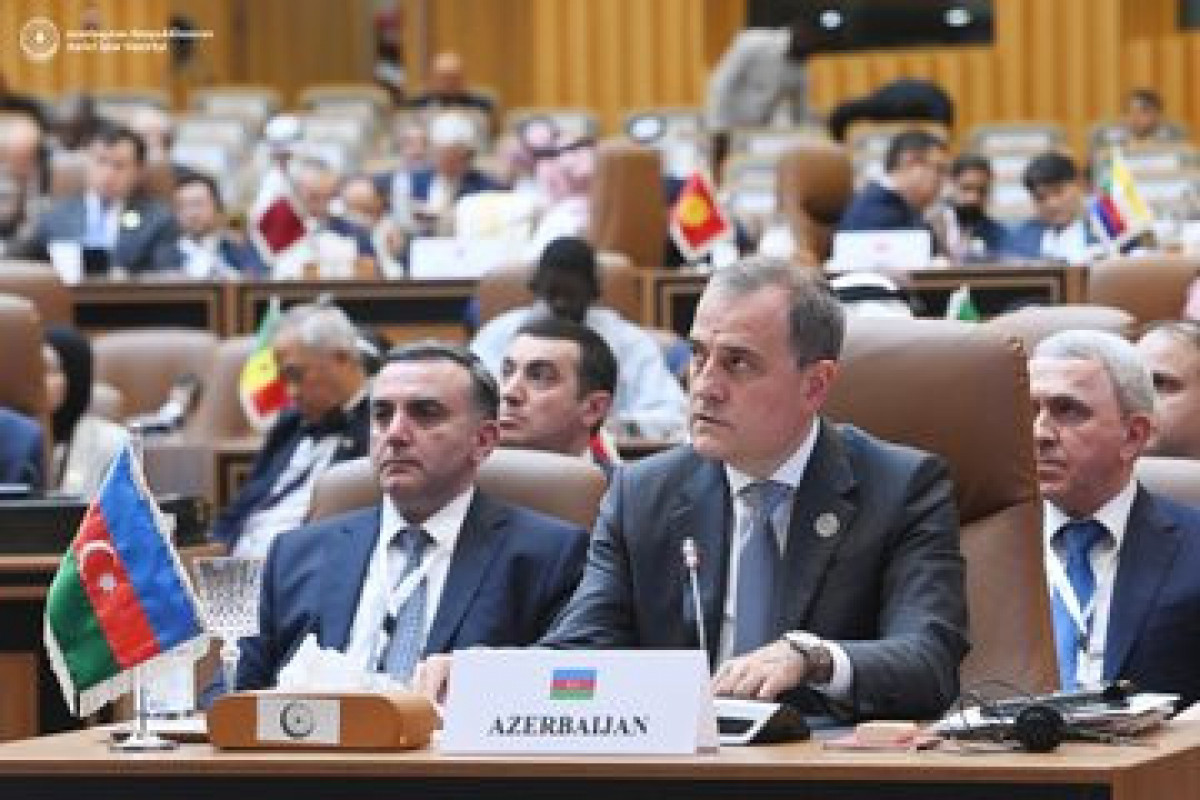 Azerbaijani FM made a speech in OIC Summit