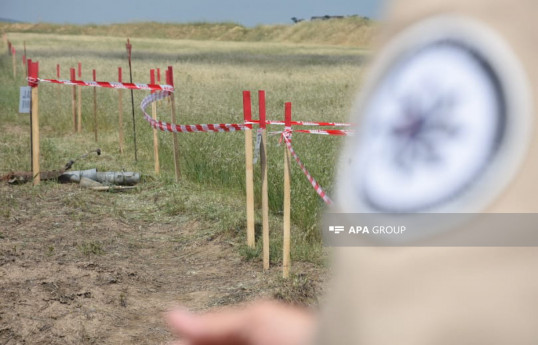 Azerbaijan's ANAMA finds 79 landmines, 378 UXOs in liberated territories